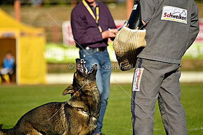 Benz vom Teufelsfeuer