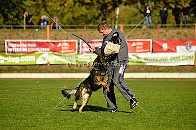 Benz vom Teufelsfeuer