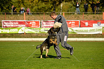 Benz vom Teufelsfeuer