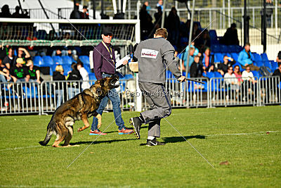 Benz vom Teufelsfeuer