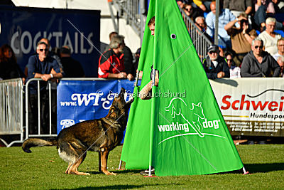 Benz vom Teufelsfeuer