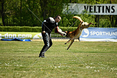 Berec vom Haus Edental