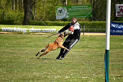 Berec vom Haus Edental