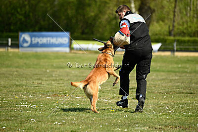 Berec vom Haus Edental