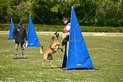 Berec vom Haus Edental