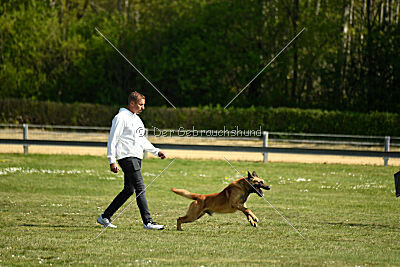 Berec vom Haus Edental