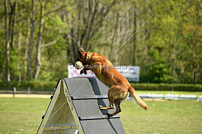 Berec vom Haus Edental