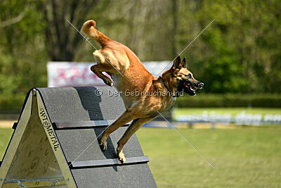 Berec vom Haus Edental