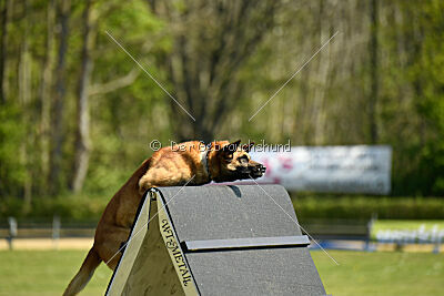 Berec vom Haus Edental