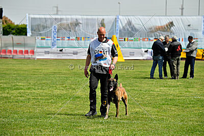 Berry de Fontemordant