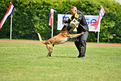 Berry de Fontemordant