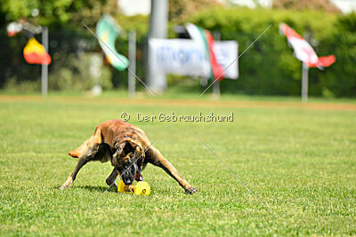 Berry de Fontemordant