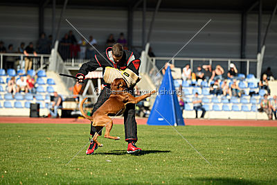 Bert von der Neckarschleife