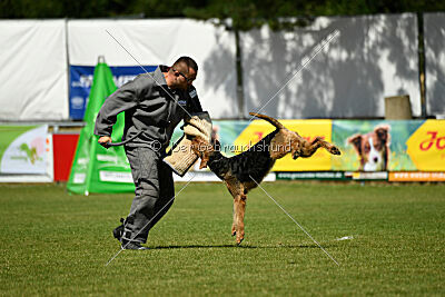 Bertram von der Hirschkanzel