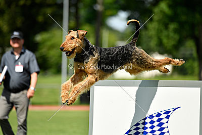 Bertram von der Hirschkanzel