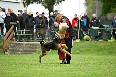 Bertram von der Hirschkanzel