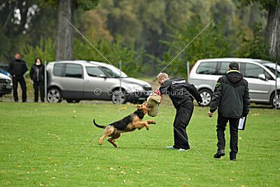 Bertram von der Hirschkanzel