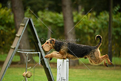 Bertram von der Hirschkanzel