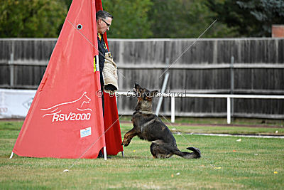 Bessy vom Mueller Haus