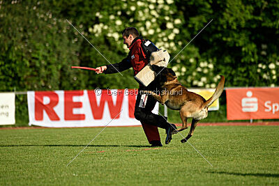 Bexter vom puren Leben