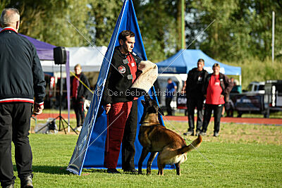 Bexter vom puren Leben