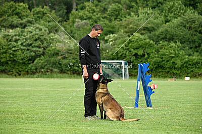 Bexter vom puren Leben