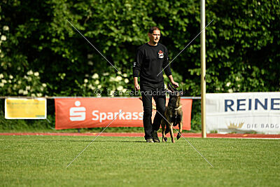 Bexter vom puren Leben