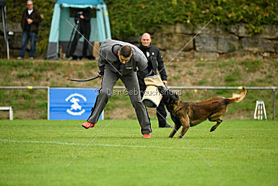 Bexter vom puren Leben