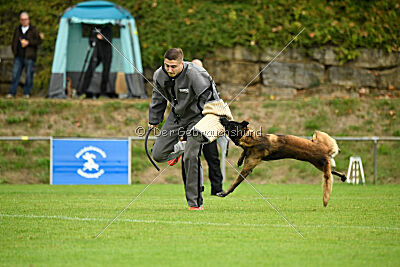 Bexter vom puren Leben