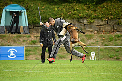 Bexter vom puren Leben