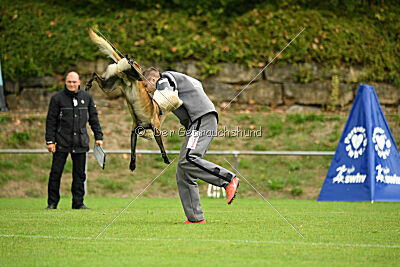 Bexter vom puren Leben