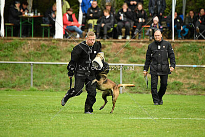 Bexter vom puren Leben