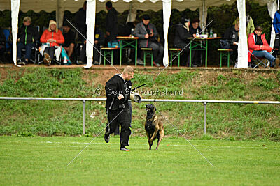 Bexter vom puren Leben