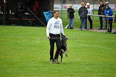 Bexter vom puren Leben