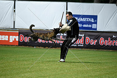 Bico z Kimovy smecky