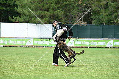 Bico z Kimovy smecky