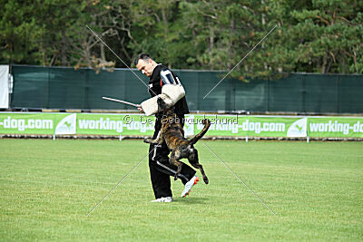 Bico z Kimovy smecky