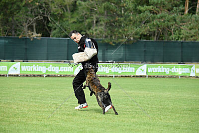 Bico z Kimovy smecky