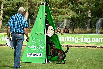 Bico z Kimovy smecky