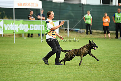 Bico z Kimovy smecky