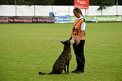 Bico z Kimovy smecky