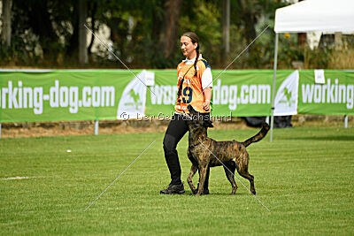 Bico z Kimovy smecky