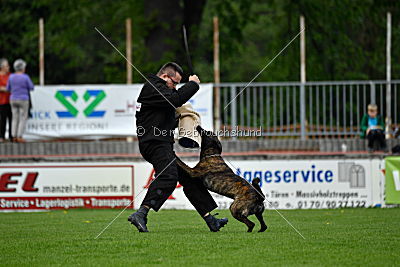 Bico z Kimovy smeèky