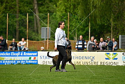 Bico z Kimovy smeèky