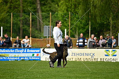 Bico z Kimovy smeèky