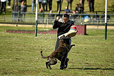 Bico z Kimovy smeèky