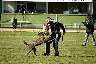 Bico z Kimovy smeèky