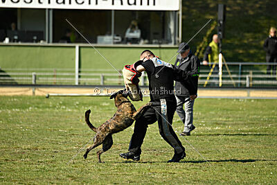 Bico z Kimovy smeèky