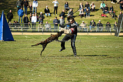 Bico z Kimovy smeèky