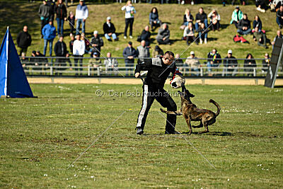 Bico z Kimovy smeèky